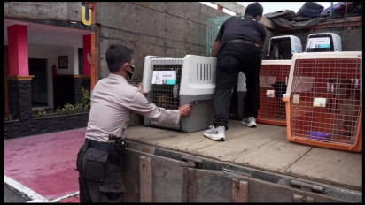 Polres Sukoharjo Gagalkan Pengiriman 53 Ekor Anjing Secara Ilegal