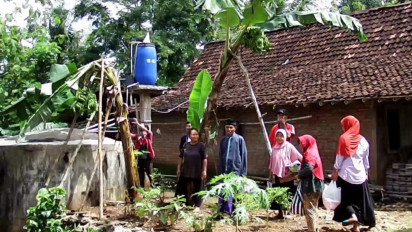 Langka dan Unik! Satu Pohon Pisang  Berbuah 4 Tandan, Gegerkan Warga Gunungkidul