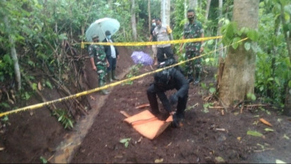 Tim Penjinak Bom Amankan Granat Nanas yang Ditemukan di Ladang Warga Blitar