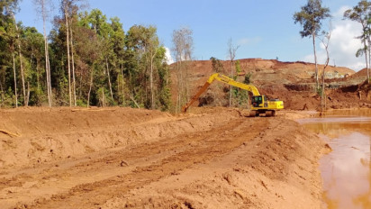 Marak Ilegal Logging di Lutim, Warga: Sudah Dilaporkan ke Kehutanan Tapi Tidak Ditindaklanjuti