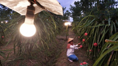 Konsumsi Listrik di Indonesia Naik, Oktober 2021 Mencapai 210 TWh