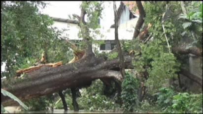 Hujan Lebat di Sampang, Pohon Tumbang Timpa Asrama Pondok Pesantren