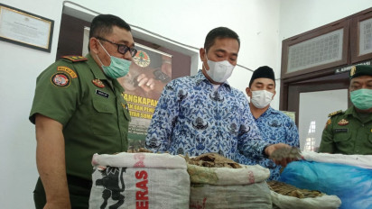 Penjual 36,7 Kg Kulit Tenggiling dan 1 Paruh Rangkong Ditangkap