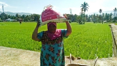 Alhamdulillah, Pupuk Bersubsidi Akhirnya Didistribusikan pada Kelompok Petani di Tapsel