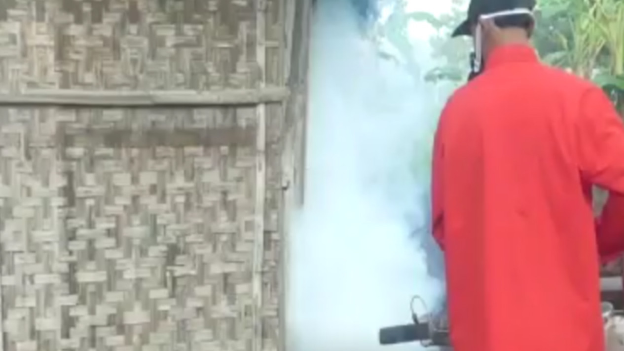 Angka Kasus DBD Gunungkidul Naik, Akhir November Capai 85 Kasus
            - galeri foto