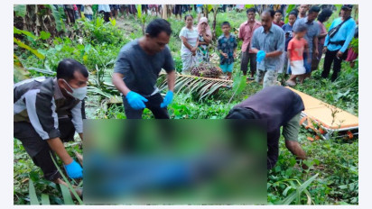 Sedang Panen Sawit, Seorang Pekerja Tewas Tersengat Listrik Tegangan Tinggi
