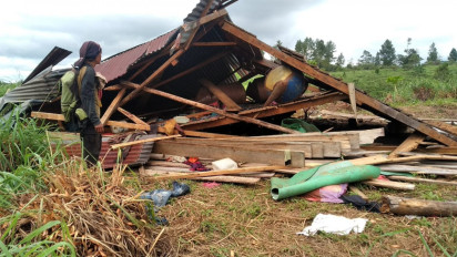 Sebanyak 18 Rumah Warga Bener Meriah Rusak Diamuk Gajah Liar