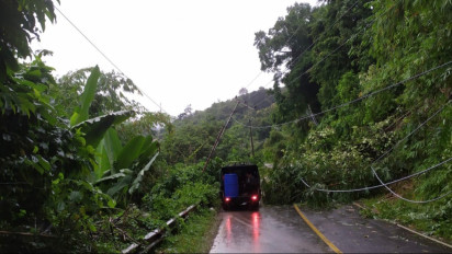 Tertutup Pohon Tumbang, Jalan Lahat Pagar Alam Sempat lumpuh