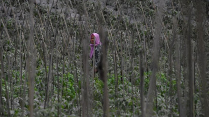 Erupsi Semeru, Debu Vulkanik Bisa Sebabkan Infeksi Pernafasan