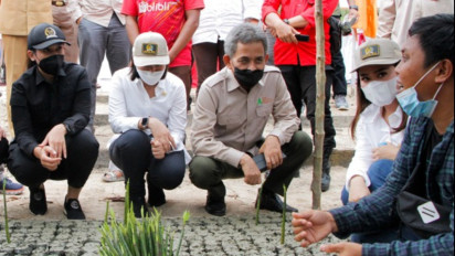 Kawasan Mangrove di Mempawah Akan Disulap Jadi Pusat Ekowisata