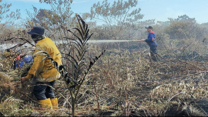 Belasan Hektar Lahan Gambut Hangus Terbakar, Petugas Terhambat Medan yang Sulit Untuk Padamkan Api
