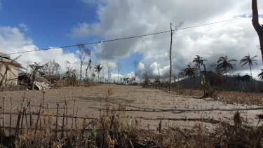 25 Hektare Lahan Warga di Desa Supiturang Rusak Akibat Abu Semeru
