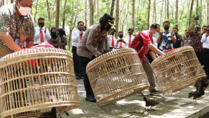 Polres Kulon Progo dan BKSDA Yogyakarta Melepasliarkan Ayam Alas dan Burung Elang