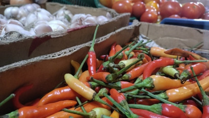 Rekor Baru, Harga Cabai Rawit Merah di Pandeglang Banten Tembus 120 Ribu per Kilogram Jelang Nataru
