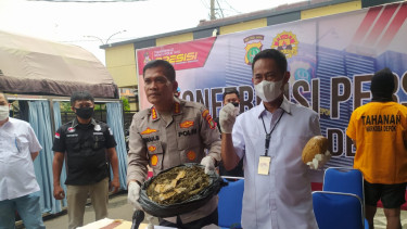 Dua Orang Pengedar Narkoba di Depok Ditangkap, Ganja dan Sabu Seberat 2 Kg Rencananya Diedarkan pada Malam Tahun Baru