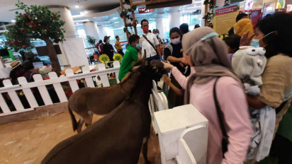 Berbagai Pameran Digelar di Pusat Perbelanjaan Tangerang untuk Sambut Natal dan Tahun Baru 