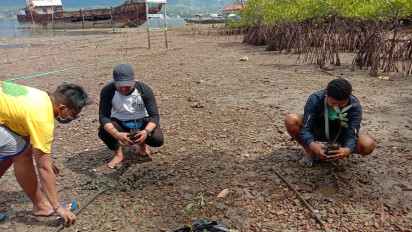 Dorong Kampanye Perubahan Iklim, IJTI Maluku Tanam Mangrove di Pesisir Pantai Teluk Ambon