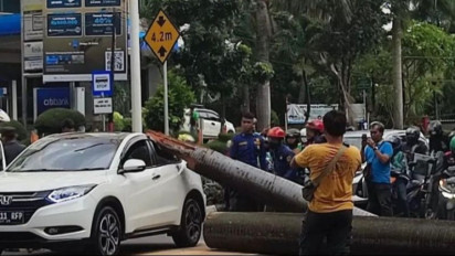 Seorang Pengendara Sepeda Motor Meninggal Tertimpa Pohon di Pondok Indah