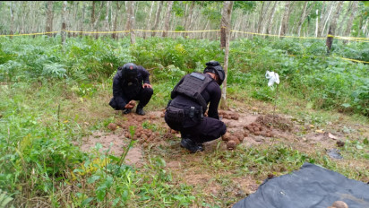 Ratusan Benda Mirip Granat yang Ditemukan di Banyuwangi adalah Mortir Bulat, Polda Jatim: Langsung Kami Ledakan Bertahap