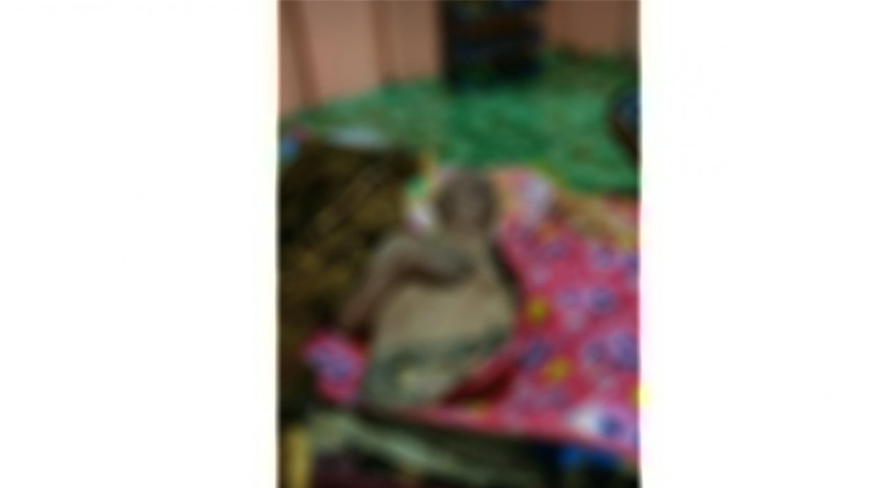 Warga Jaloh Batam Diterkam Buaya di Sungai
            - galeri foto