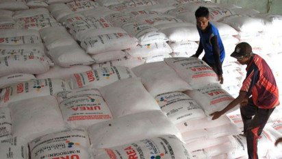 Pupuk Non Subsidi di Luwu Capai 530 Ribu, Petani Menjerit