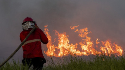Areal Hutan dan Lahan Yang Terbakar Bertambah Luas Pada 2021