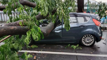 Hujan Badai Terjang Tangerang, Sejumlah Pohon Tumbang Timpa Mobil dan Tutup Jalan