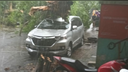 Hujan Badai Sebabkan Pohon Tumbang dan Timpa Mobil, Akses Jalan Tertutup oleh Pohon