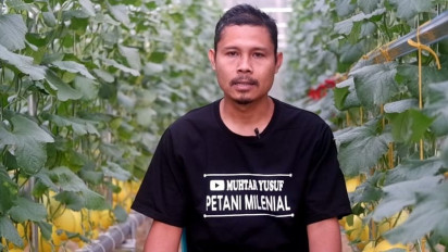 Menginspirasi, Seorang Guru di Banyumas Sukses Bertani Melon Hidroponik