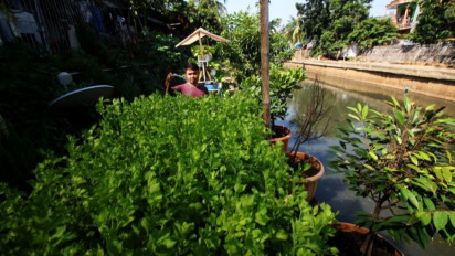Gaya Hidup Sehat 'Urban Farming', Ini Tips Bercocok Tanam di Halaman Rumah