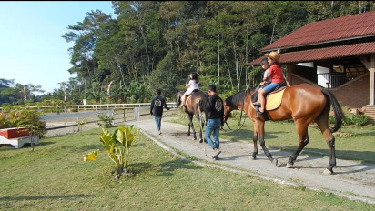 Yuk Ajak Main Si Kecil Lihat Ranch Kuda Eropa di Kendal