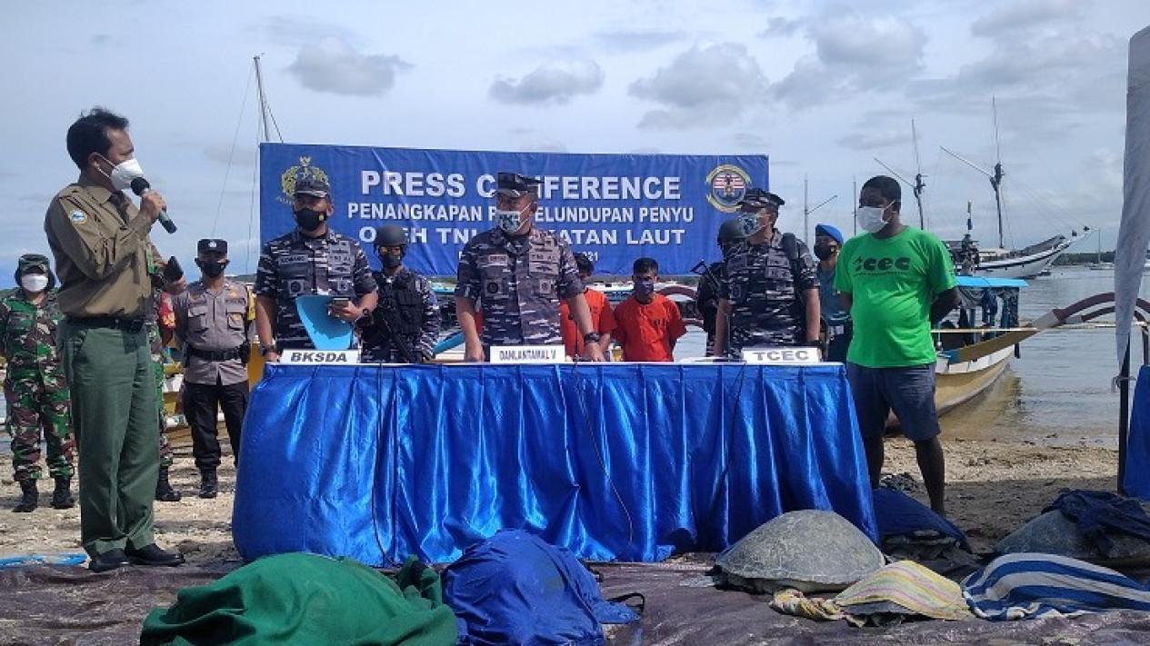 32 Penyu Hijau Diselamatkan Sebelum Dikonsumsi di Pesta Malam Tahun Baru di Bali
            - galeri foto