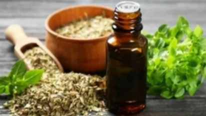 Tak Hanya Bumbu Masakan, Ini Sejumlah Manfaat Oregano