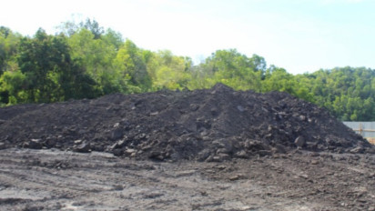 Presiden Klaim Keberanian Setop Ekspor Bahan Mentah Membuahkan Hasil