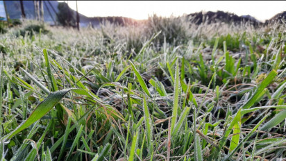 Wow! Embun Es Dieng Banjarnegara Kembali Muncul di Bulan Januari