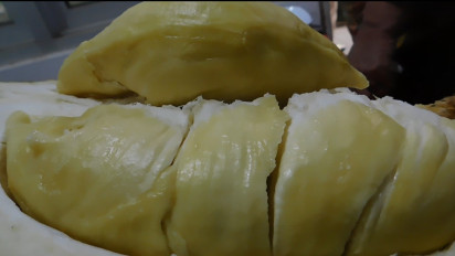 Durian Monti, Si Tebal dan Manis Unggulan Semarang