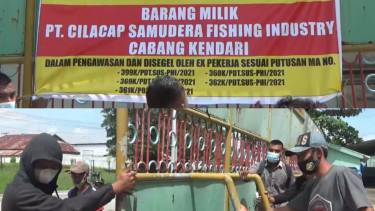 Tuntut Pesangon, Belasan Eks Karyawan Segel Kantor PT Cilacap Samudera Fishing Industry (CSFI) Kendari Â 