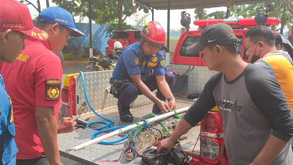 Kemunculannya Kerap Meresahkan, Warga Pekalongan Menangkap Seekor Buaya Muara