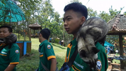 Komunitas Pecinta Musang, Cara Anak Muda Menyelamatkan Hewan dari Kepunahan