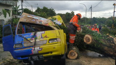 Sebuah Mobil Odong-Odong Ringsek Tertimpa Pohon Tumbang, Sopir Alami Luka Berat di Kepala Dilarikan ke Rumah Sakit
