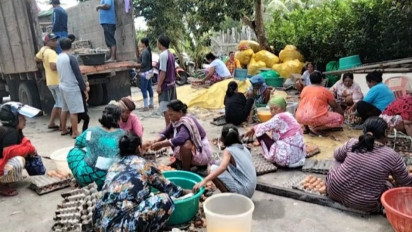 Emak-Emak Serbu Truk Pemasok Telur Yang Terguling