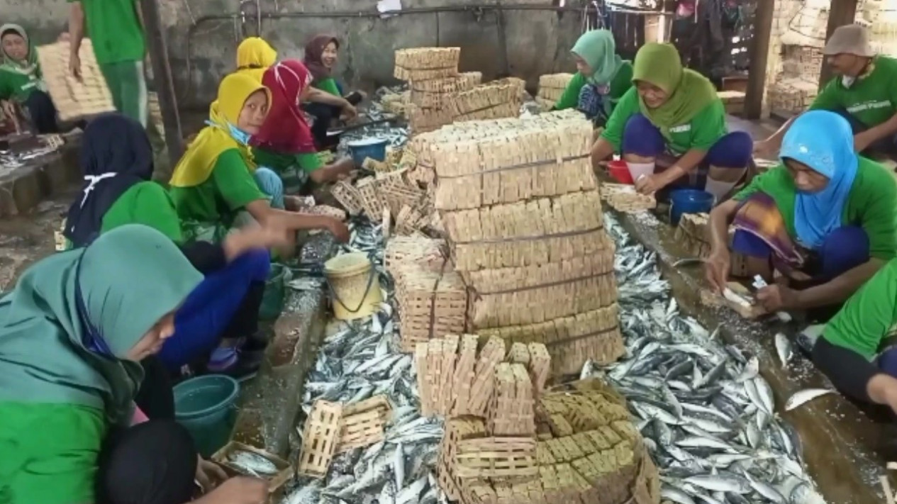 Dampak Cuaca Buruk, Harga Bahan Baku Ikan Pindang di Rembang Naik
            - galeri foto