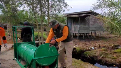 BKSDA Sampit Pasang Alat Perangkap di Lokasi Penampakan Beruang Madu