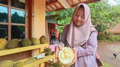 Harus Inden Satu Tahun Begini Rasa Durian Lokal Kampung Organik Jepara