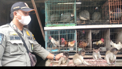 Razia Pasar Burung, Petugas Temukan Hewan Dilindungi Diperjualbelikan
