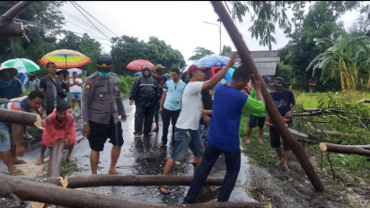 Pohon Tumbang Timpa Mobil, Satu Orang Meninggal Dunia