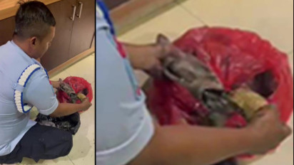 Petugas LP Rajabasa Gagalkan Pengiriman Ganja Dalam Sotong