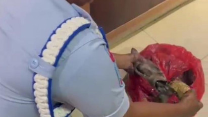 Petugas LP Rajabasa Gagalkan Upaya Penyelundupan Ganja dalam Sotong