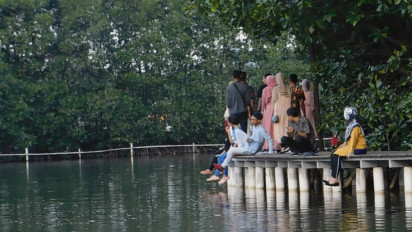 Menikmati Rindangnya Hutan Bakau di Mangrove Adventure Park Semarang
