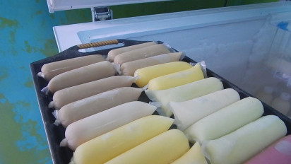 Peternak di Semarang Ini Bikin Yoghurt Susu Kambing